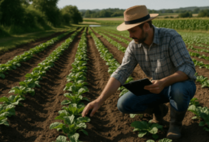 Como fazer o manejo sustentável de recursos naturais em pequenas propriedades rurais